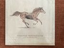 A Long Way From Your Heart by Turnpike Troubadours (Record, 2017)