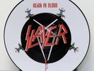 Slayer Reign in Blood 12