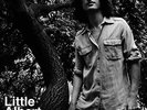 Little Albert - Swamp King [Lp] (US IMPORT) VINYL LP NEW