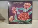 TODD RUNDGREN - SOMETHING/ANYTHING? -HQ- (2 LP) VINYL 1972.  2BX 2066, RECORD