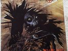PROTECTOR: Urm The Mad Vinyl LP 33 RPM 12