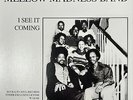 disco funk ltd re 7” MELLOW MADNESS BAND Boogie “M” 2015 Balto-Soul
