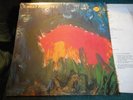 LP Record Album---The Meat Puppets II