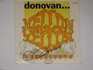 Donovan Leitch 7