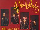 4 Non Blondes - What's Up - Vinyl Record 7.. - I12198I