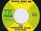THIRTEENTH FLOOR ELEVATORS You're Gonna Miss Me RARE US garage 45 psych LISTEN