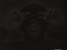 Jay-Z-The Black Album VINYL NEW