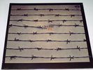 DIES IRAE - FIRST 1971 - LP VINYL ALBUM PROGRESSIVE ROCK, KRAUTROCK C035