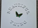 The Stone Roses Beautiful Thing Vinyl 12