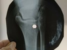 ELVIS BLUE SUEDE SHOES X-Ray USSR Record Roentgen Bones Ribs Music Vinyl