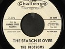 BLOSSOMS: the search is over / big talking jim CHALLENGE 7