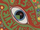13TH FLOOR ELEVATORS - The Psychedelic Sounds Of The 13th Floor Elevators NEW