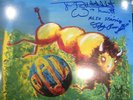 PUBLIC IMAGE LIMITED  This is PIL  John Lydon signed 2 LP SEX PISTOLS PROOF