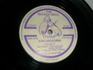 THE BLEACH BOYS - CHLOROFORM 7
