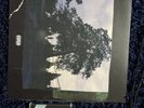 J. Cole 4 Your Eyez Only Official Dreamville Black Vinyl - Tape Deck-vip Lanyard