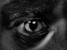 Wiley Evolve Or Be Extinct (Vinyl) 12