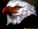 Mogwai The Hawk Is Howling 2013 Wall Of Sound Doppel LP 12