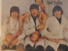 The Beatles Yesterday and Today  Mono Peeled Butcher