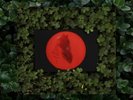 Moses Sumney Live from Blackalachia VINYL LP NEW