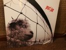 PEARL JAM   VS. LP   SEALED NEW MINT ORIGINAL 1993 U.S. PRESS w/ HYPE STICKER