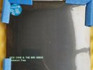 Nick Cave: Skeleton Tree Unicef Blue Vinyl. Super Rare. Only 50 In The World
