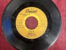 norman fox and the rob roys vinyl 45 Promotional Dream Girl /pizza Pie Very Rare