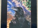 THE STRANGLERS - THE RAVEN VINYL LP 3D LENTICULAR COVER 1st UK NM/EX
