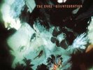 LP The Cure DISINTEGRATION VINILE