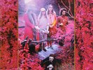 Captain Beefheart & The Magic Band - Grow Fins Vol. II: Trout Mask House Sess...