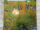 Jhené AIko - Trip (2xLP, 12