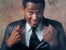Luther Vandross Never Too Much (Sterling Press) Used Vinyl LP