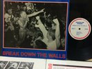 Youth Of Today Break Down The Walls LP 1986 Wishingwell nyhc sxe hardcore 4-@