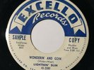 WLP LIGHTNIN' SLIM - WONDERIN' and GOIN' / GOIN' HOME 45 White Label Promo VG+