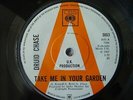 Druid Chase - Take Me In Your Garden 7