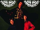 The Jimi Hendrix Experience - Are You Experienced. 2 × LPs. 2015 German Reissue