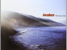 Morning View by Incubus (Record, 2012)