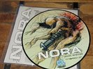 NORA LOSERS INTUITION LP hardcore metal converge zao atreyu buried alive despair