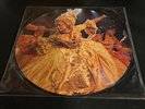 Madonna  Shine A Light  Vinyl Picture Disc Receiver Records Ships Free