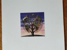 Laughing Stock by Talk Talk -- 2016 Vinyl MINT