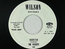Garage 45 - Felicity ft. Don Henley - Hurtin - Wilson - mp3