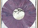 CHUCK RAGAN feast LP no idea hot water music alkaline trio springsteen