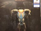 Eagles - One Of These Nights - Walmart Exclusive w/ Replica Tour Laminate LP