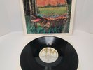 NEVILLE BROTHERS: Fiyo on the Bayou US A&M Funk Soul Vinyl LP 1981 EX/VG+