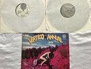 THE VERTIGO ANNUAL 1970  VERTIGO ANNUAL -DOUBLE LP 6499 407 UK 1ISSUE VINYL