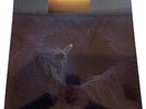 SHIPS NOW  Tool Fear Inoculum Deluxe 5 XLP Vinyl Box Set Factory Selaed
