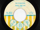 Garage 45 - Starliters - Wait For Me - Zap - mp3 - obscure