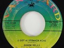 Junior Wells 