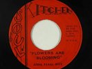 R&B Soul Blues 45 - Addie Pearl Rice - Flowers Are Blooming - Soul Kitchen - mp3