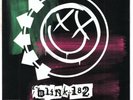 BLINK 182 Feeling This 2003 Punk Picture Sleeve 7