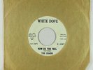Garage Psych 45 - The Chains - How Do You Feel/Not Gonna- mp3 rare promo-only?